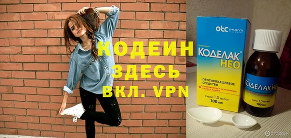 мдпв Елизово