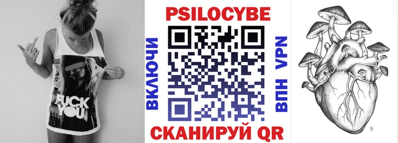 Галлюциногенные грибы Psilocybe  Купить  Касли 